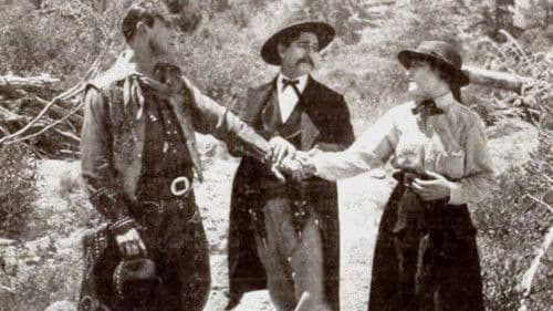 The Desire of the Moth Bild 1