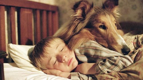 Lassie kehrt zurück Bild 7