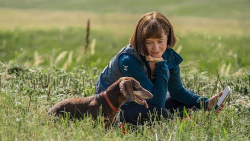 Поехавшая Bild 3