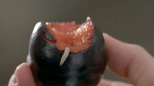 Un lever de rideau Bild 8