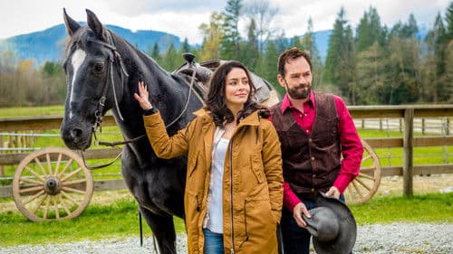 Love in Paradise Bild 2