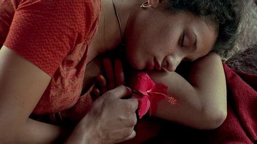 Kama Sutra - Die Kunst der Liebe Bild 6