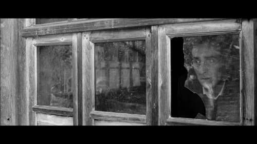 Suğra və oğulları Bild 1