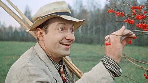 Пёс Барбос и необычный кросс Bild 4