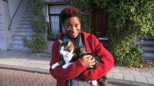 Katzenliebe: Eine Hommage an Katzen Bild 5