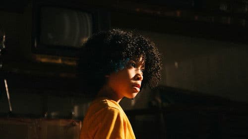 É Tempo de Amoras Bild 3