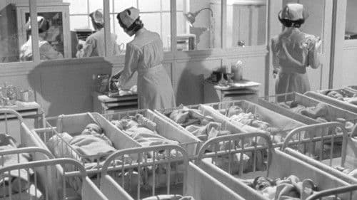 Vater werden ist nicht schwer Bild 3