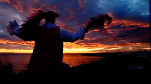 The Wiggles: Sailing Around the World Bild 1