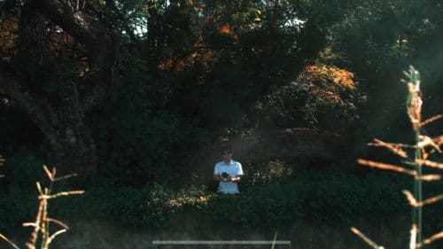 O Que Me Viu Passar Bild 3