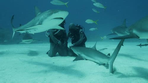 Bleu, un océan de solutions Bild 1