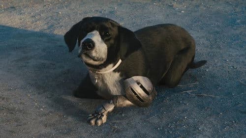 Fullmetal Alchemist - The Final Alchemy Bild 5