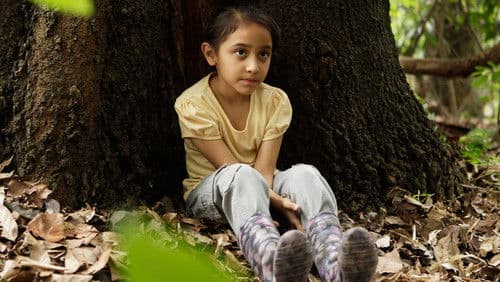 Manto acuífero Bild 1