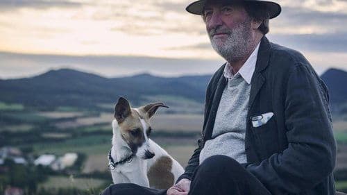 Gump – pes, který naučil lidi žít Bild 1