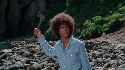 Männer wie die Tiger Bild 6