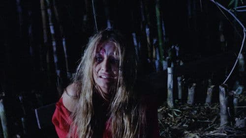 Night of Fear Bild 2