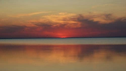 Die verzauberte Desna Bild 2