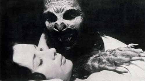 Bat People – Die Blutsauger Bild 1