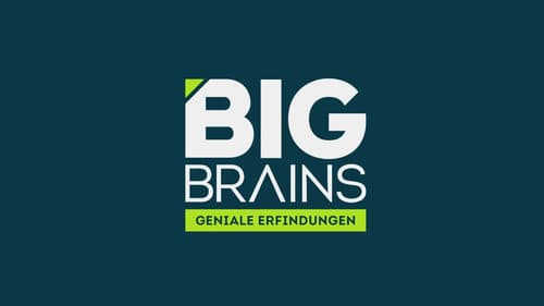 Big Brains Bild 1