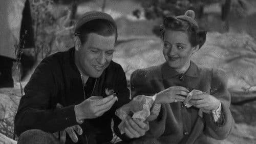 Der Mann, der zum Essen kam Bild 2