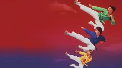 3 Ninjas Kick Back Bild 1