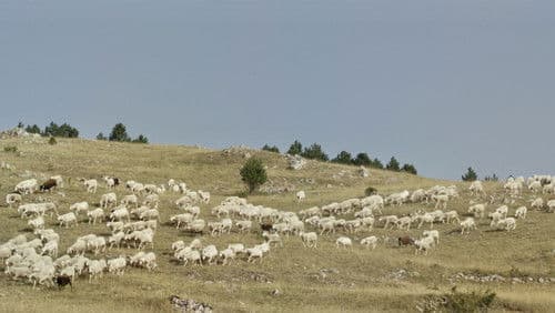 Haltung bewahren! Bild 7