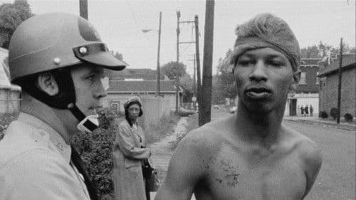 Law and Order Bild 1