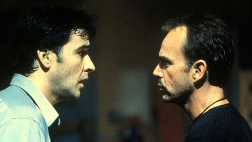 Turbulenzen und andere Katastrophen Bild 3