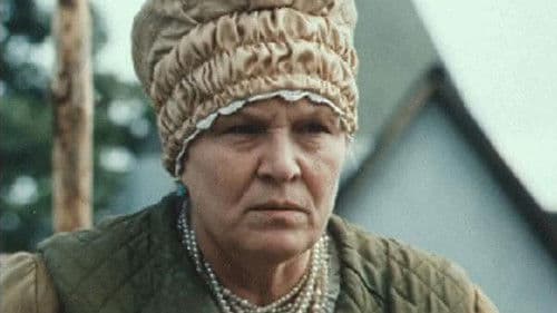 Миргород и его обитатели Bild 2