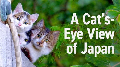 A Cat's-Eye View of Japan Bild 2