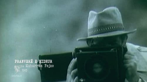 Pranverë e hidhur Bild 1