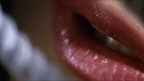 Hanzo the Razor – Sword of Justice Bild 3