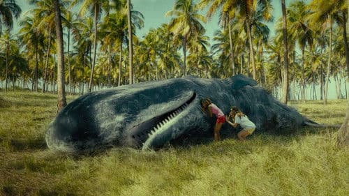 Sem Coração Bild 6