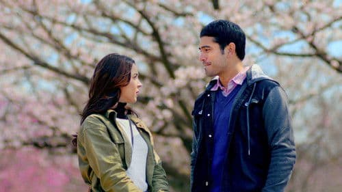 Between Maybes Bild 1