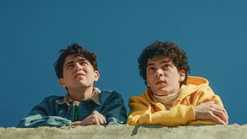 Im Schatten des Orangenbaums Bild 5