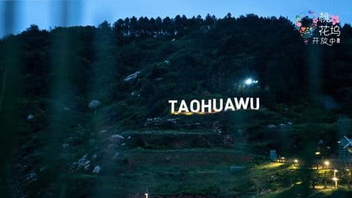 桃花坞开放中 Bild 4