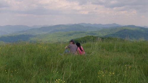 Do You Say What You Mean? Bild 1