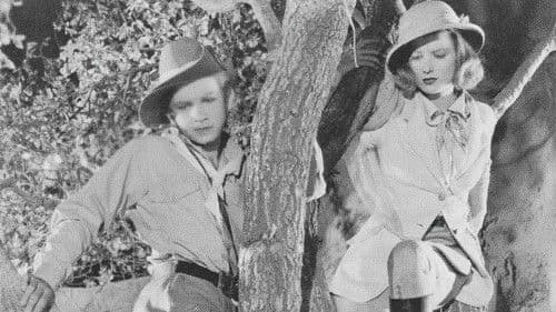 Tim Tyler's Luck Bild 1