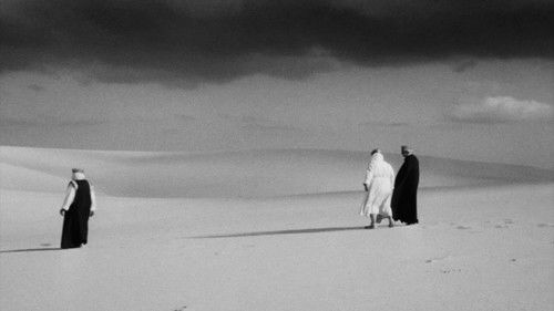 El cant dels ocells Bild 4