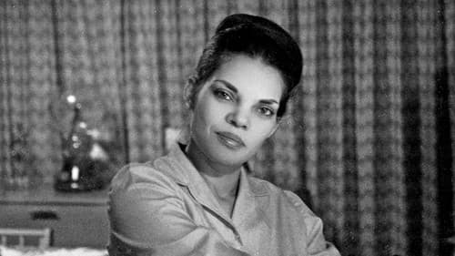 My Darling Vivian Bild 3