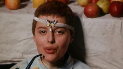 Vtáčkovia, siroty a blázni Bild 2