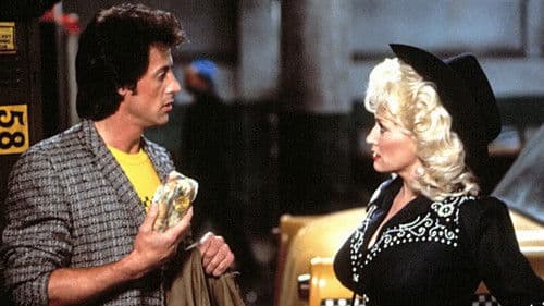 Der Senkrechtstarter Bild 4