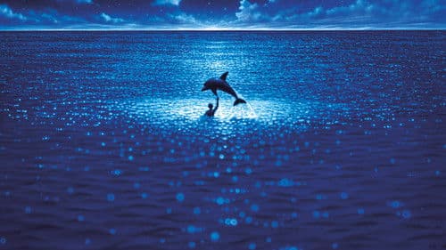 Im Rausch der Tiefe Bild 6