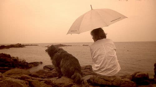 Skyggen af en helt Bild 1