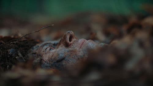 The Woods Are Real Bild 4