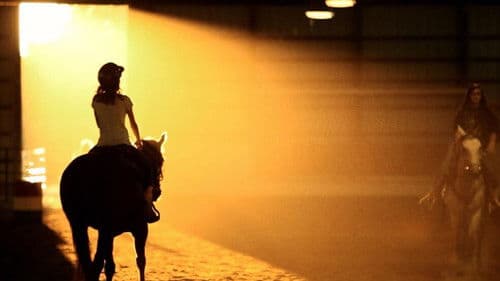 Mein treues Pferd Bär Bild 2