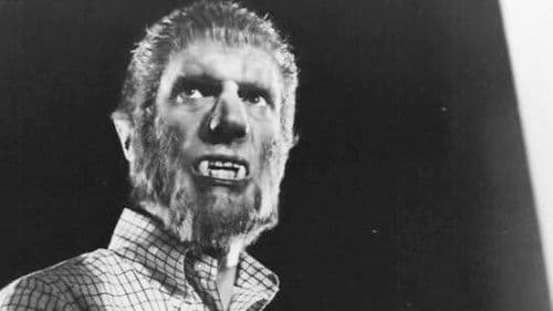 Die Stunde des Wolfs Bild 2