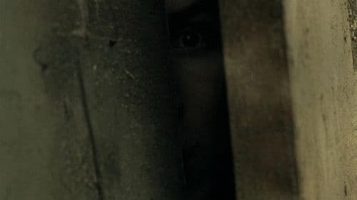 Flowers for My Garden Bild 4