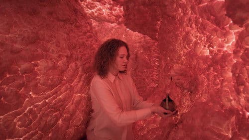 THE WOMAN WHOSE HEAD WAS AN ASTEROID Bild 1