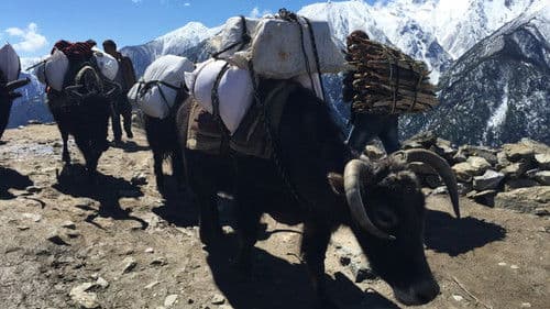 Children of the Snow Land Bild 3