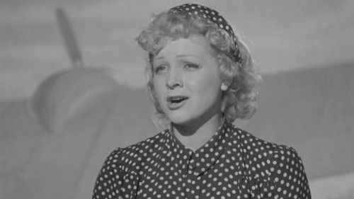 Воздушный извозчик Bild 2